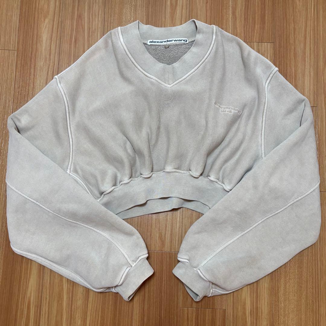 ロゴ刺繍 Vネック クロップドスウェット