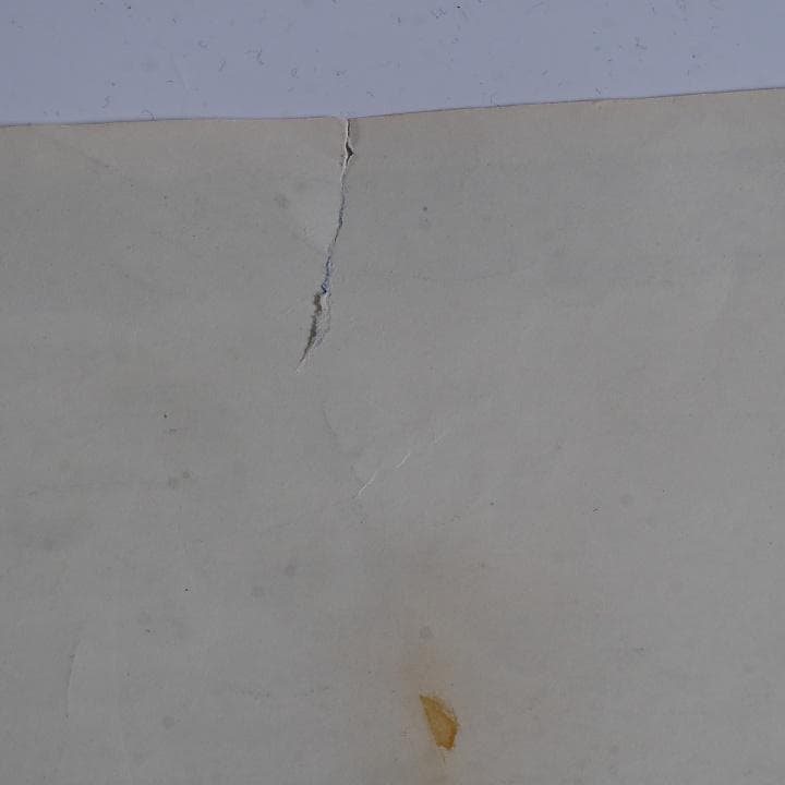 純正インスト+取扱説明書　エスプレイド　CAVE