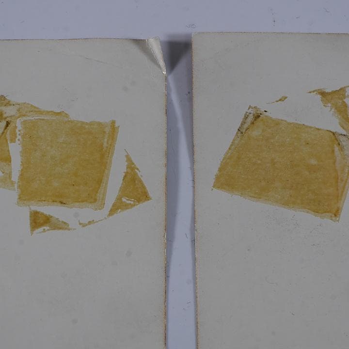 純正インスト+取扱説明書　エスプレイド　CAVE