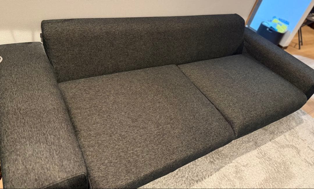 広々ローソファ　NOYES Decibel Professional 3人掛