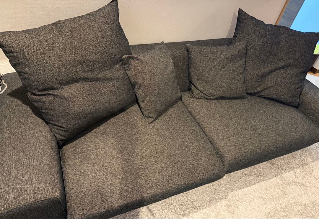 広々ローソファ　NOYES Decibel Professional 3人掛