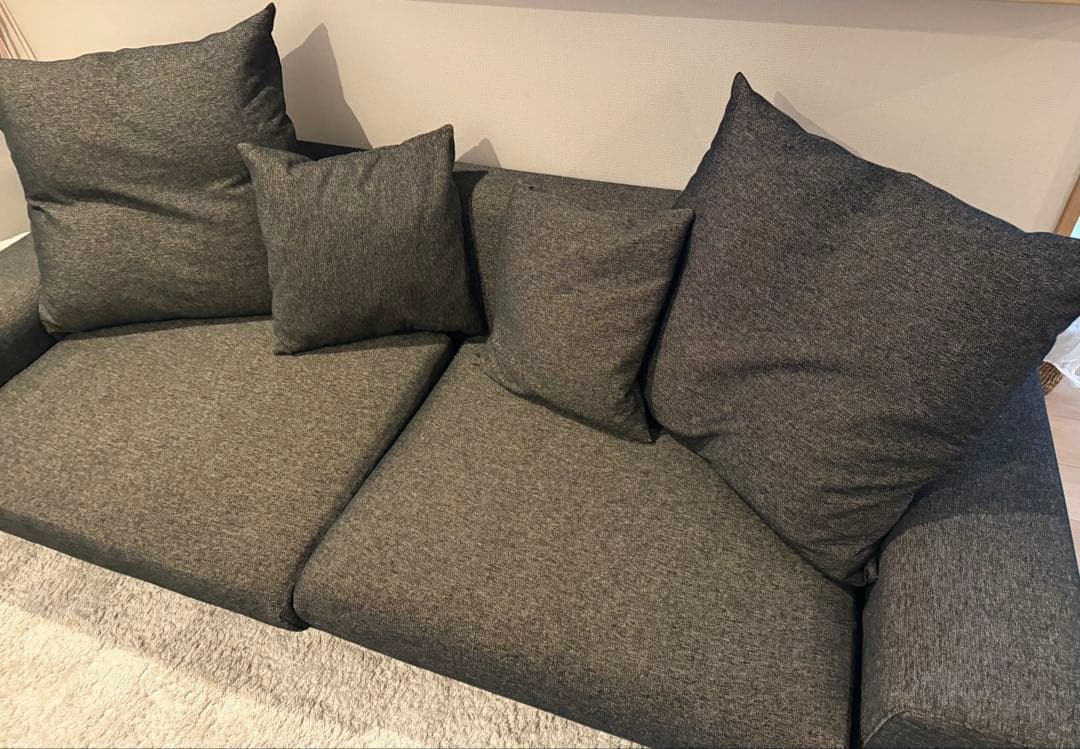 広々ローソファ　NOYES Decibel Professional 3人掛