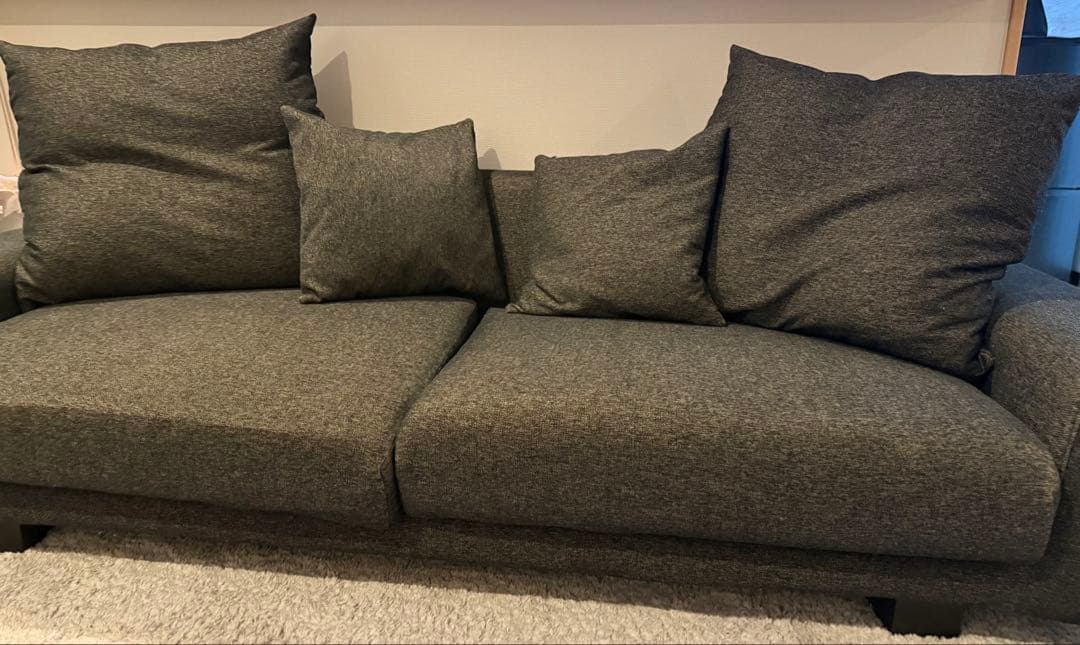 広々ローソファ　NOYES Decibel Professional 3人掛