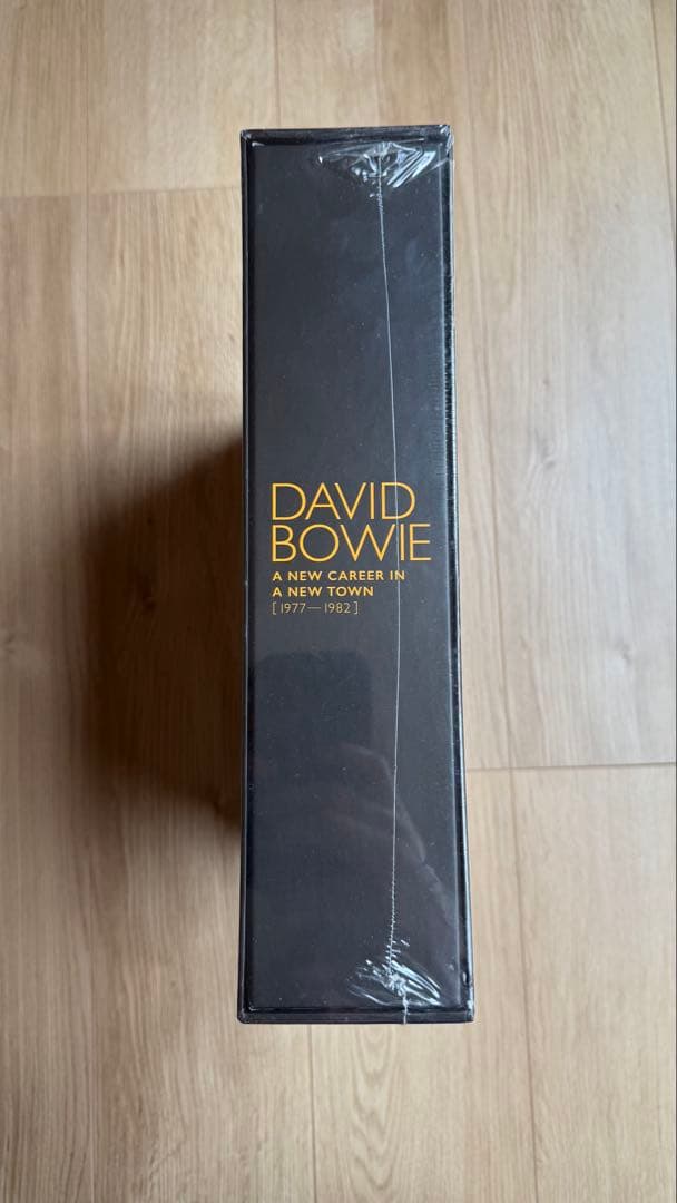 デヴィッド　ボウイ BERLIN 13xLP レコードレアボックスセット 12”