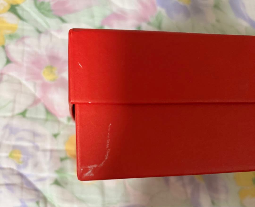 家に猫がいます