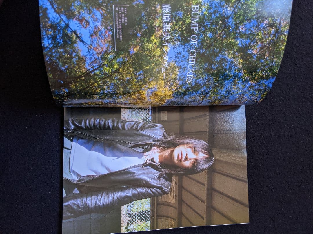 MUSICA くるり 岸田繁 銀杏BOYZ　エレファントカシマシ 宮本浩次