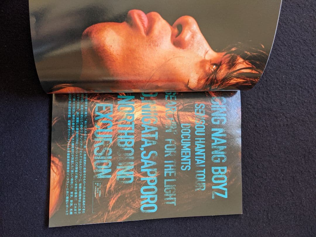 MUSICA くるり 岸田繁 銀杏BOYZ　エレファントカシマシ 宮本浩次