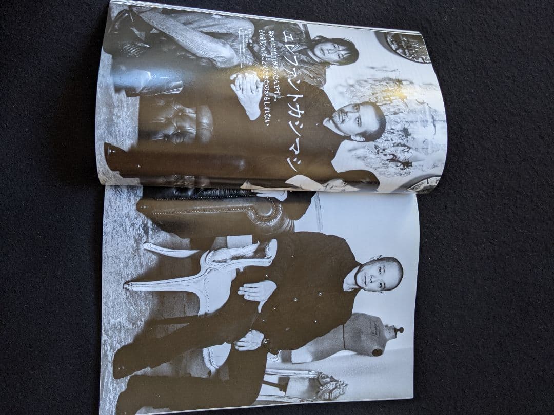 MUSICA くるり 岸田繁 銀杏BOYZ　エレファントカシマシ 宮本浩次