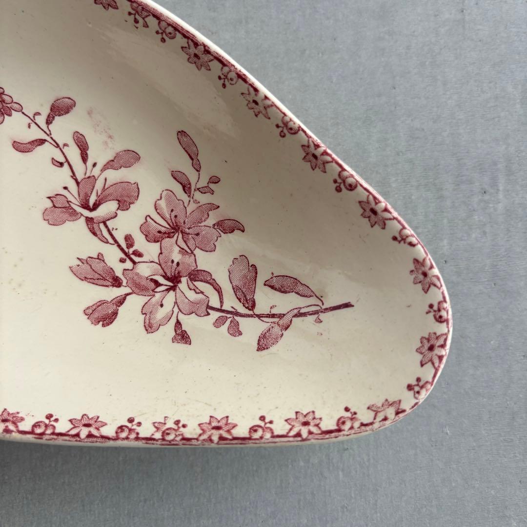 ピオニー❣️サルグミンヌ FAVORI 赤い鳥のラヴィエ