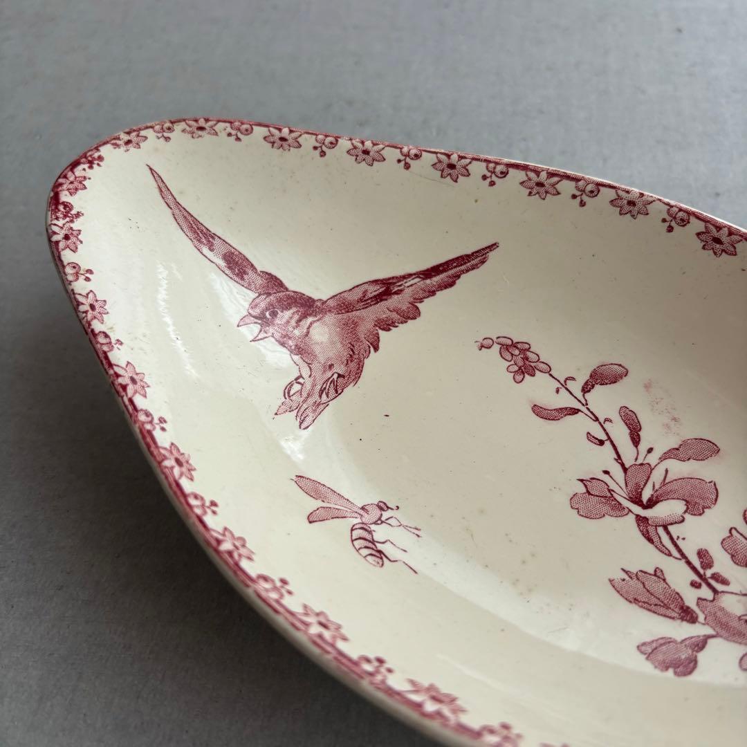 ピオニー❣️サルグミンヌ FAVORI 赤い鳥のラヴィエ