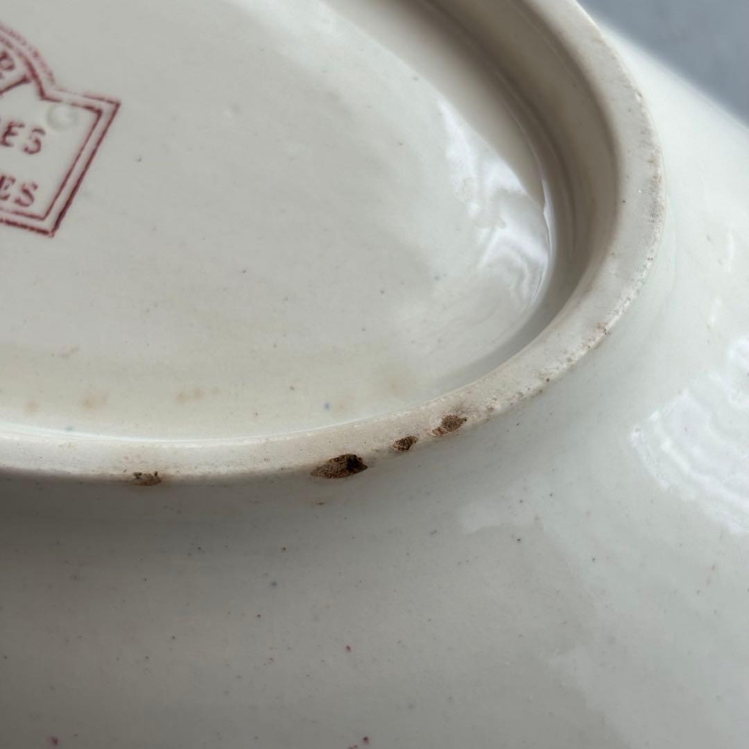 ピオニー❣️サルグミンヌ FAVORI 赤い鳥のラヴィエ