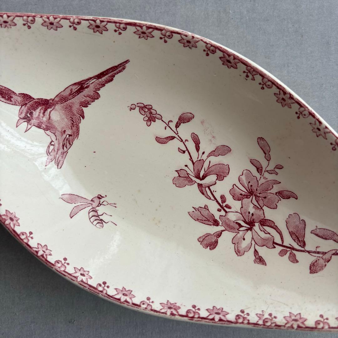 ピオニー❣️サルグミンヌ FAVORI 赤い鳥のラヴィエ