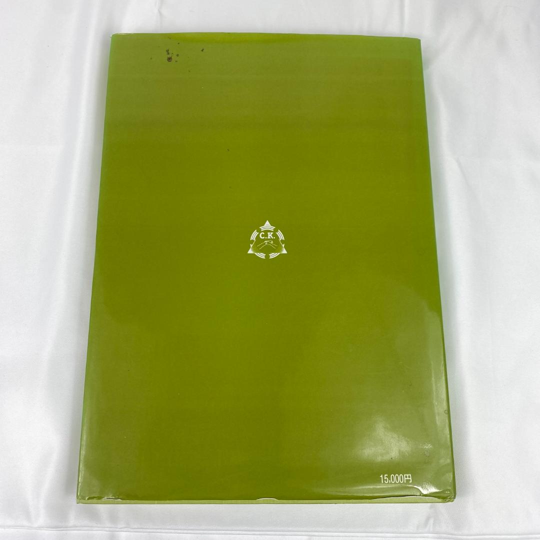 筋肉反射応用治療学 伊東聖鎬 著