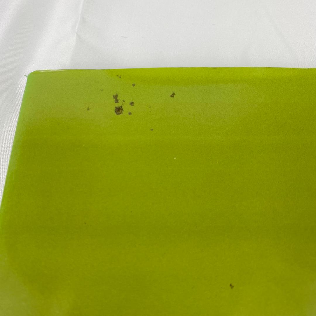 筋肉反射応用治療学 伊東聖鎬 著