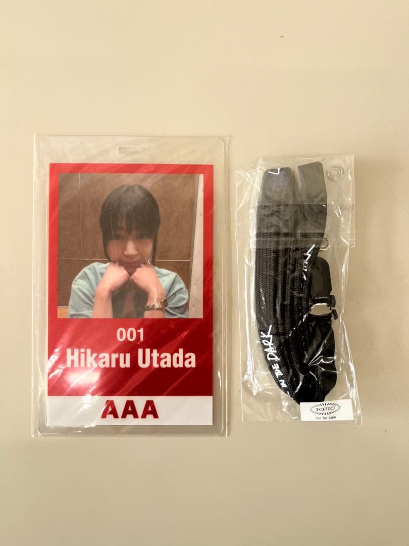 値下げ中 美品 宇多田ヒカル DVD完全生産限定盤（ナンバリング入り）