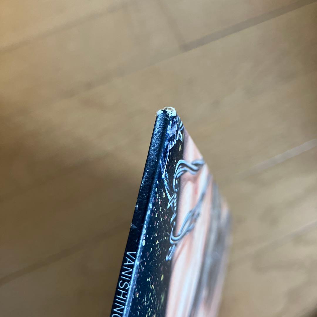 X Japan Vanishing Vision レコード