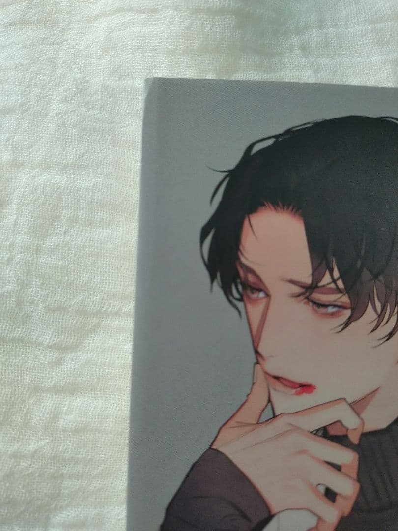 BL小説 病案本 Case File Compendium 1～4巻 肉包不吃肉