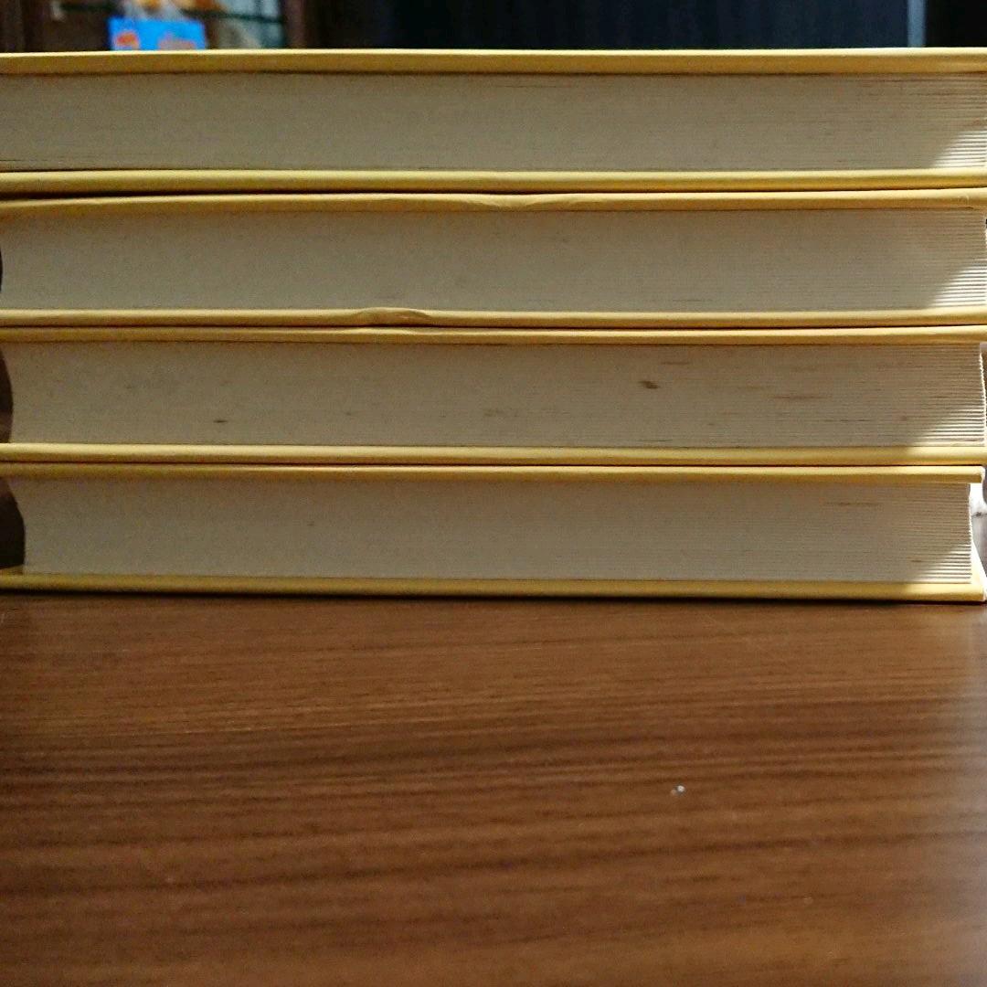 聖母マリアの詩（上下）マグダラのマリア イエズスの受難  マリア・ワルトルタ