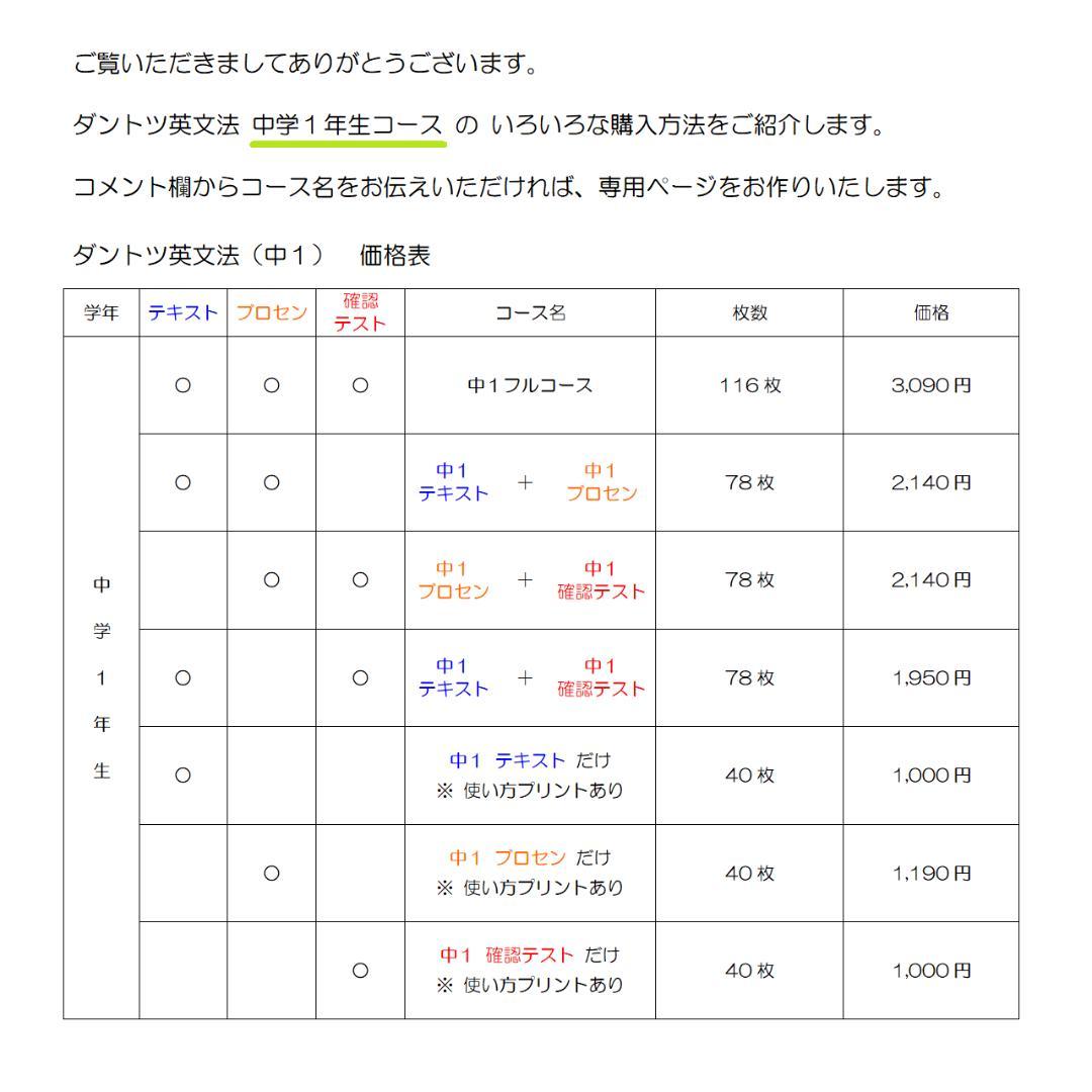 【匿名配送】ダントツ英文法フルセット［全302枚］メルカリ限定販売のブロセン含む