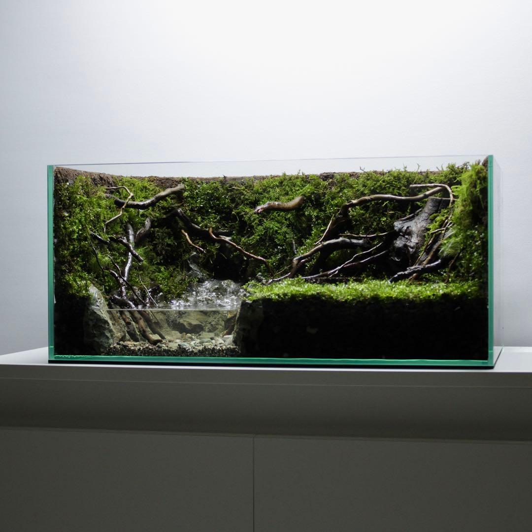 凛1.11　アクアテラリウム