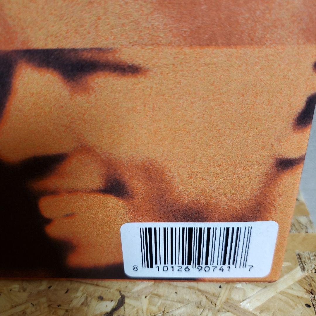 フランクオーシャン CHANNEL ORANGE レコード