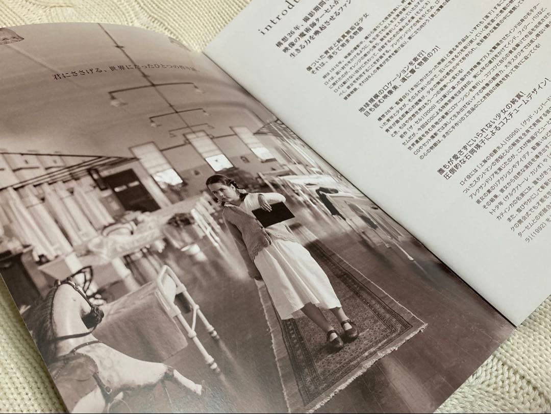 落下の王国 パンフレット 2008年 初公開時 旧版 映画 レア