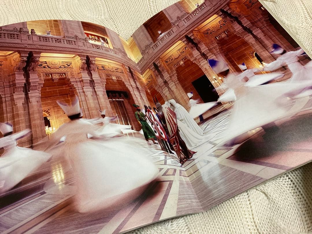 落下の王国 パンフレット 2008年 初公開時 旧版 映画 レア