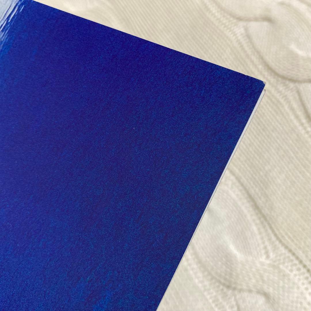 落下の王国 パンフレット 2008年 初公開時 旧版 映画 レア