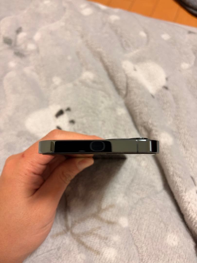 iPhone 12 Pro 256GBパシフィックブルーおまけ付き