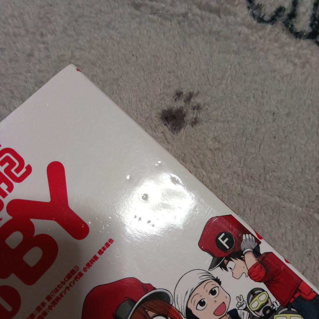 はたらく細胞シリーズ　71巻セット　清水茜