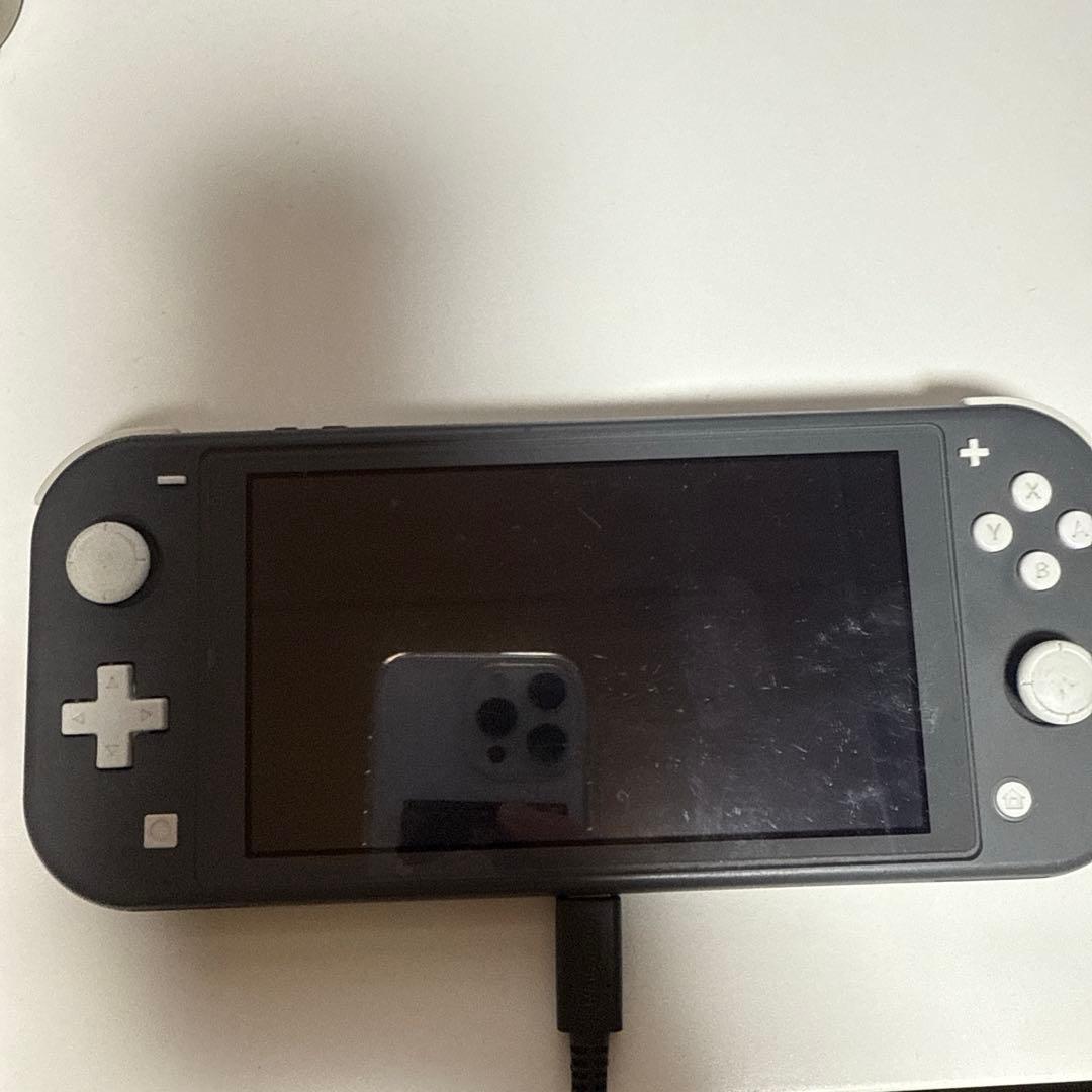 Switch Lite グレー