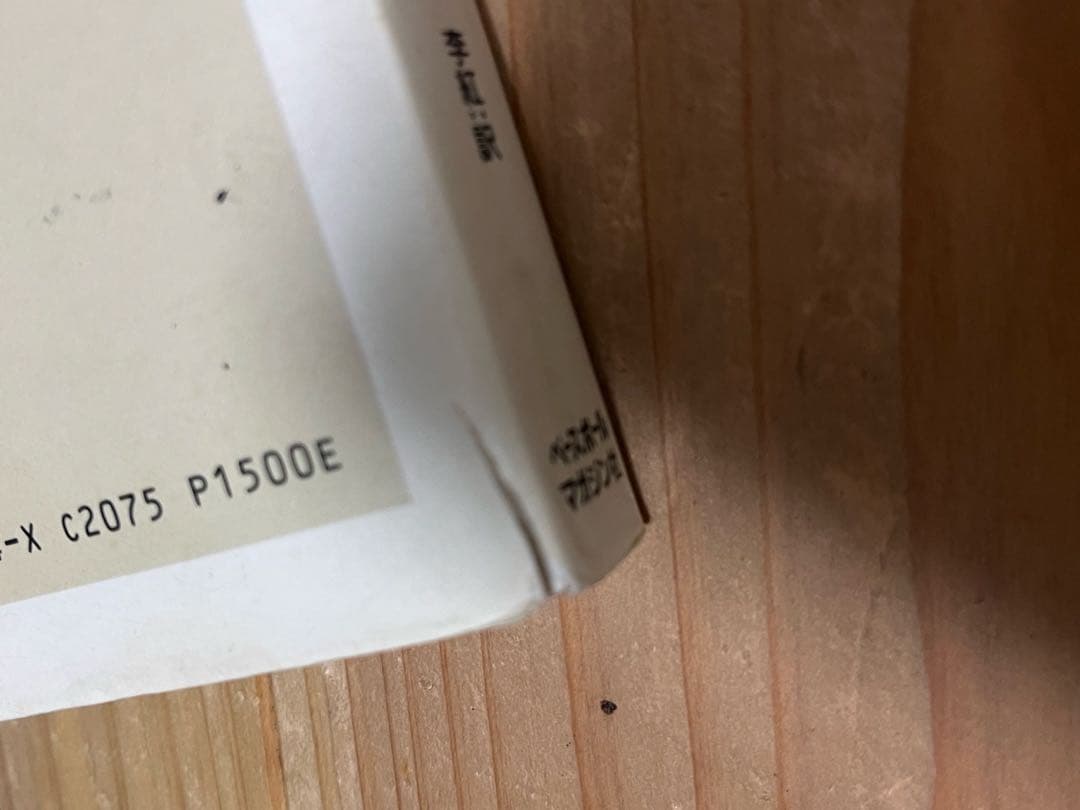 厳新気功学テキスト