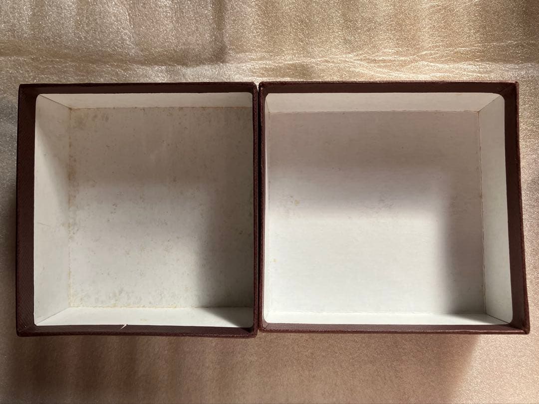 ELCAMI / カメレオンピアス シルバー