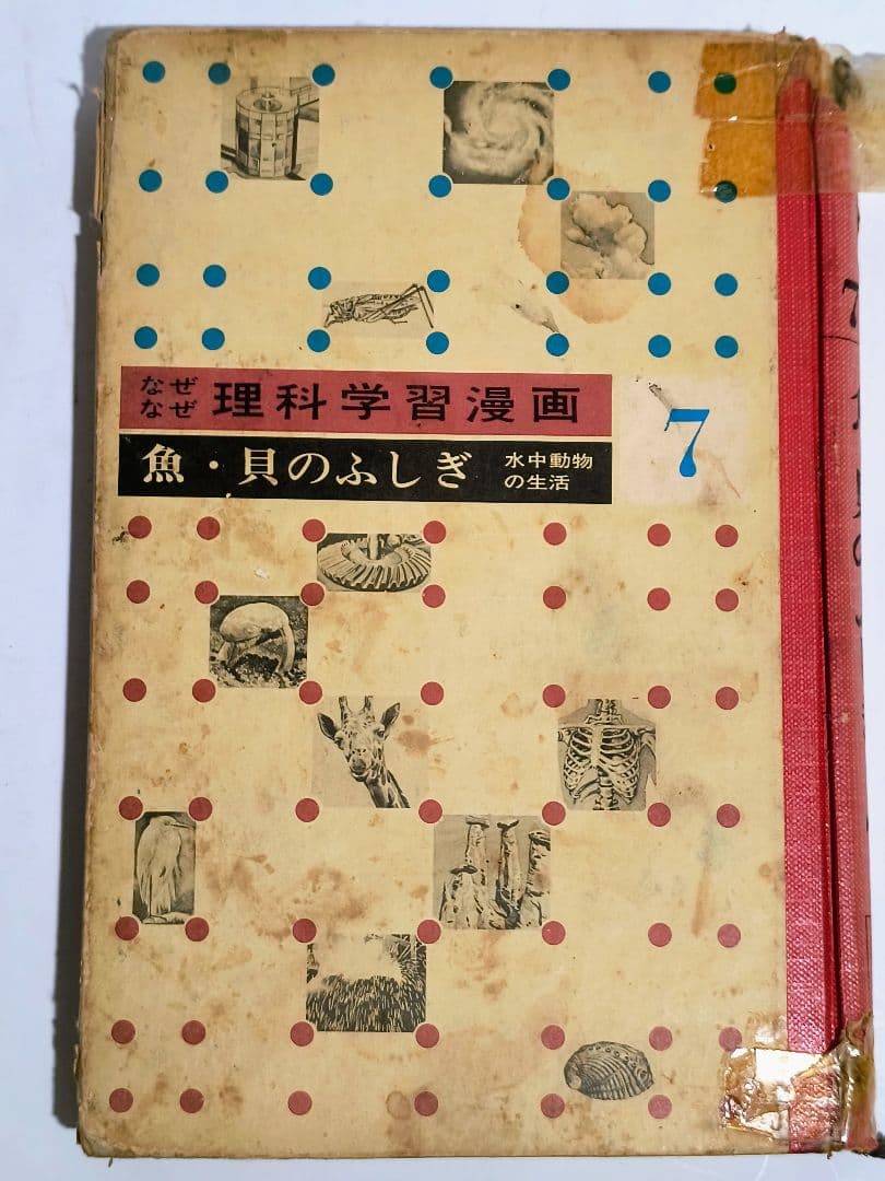 「なぜなぜ理科学習漫画」シリーズ　全12巻中11巻 (第4巻が欠落)