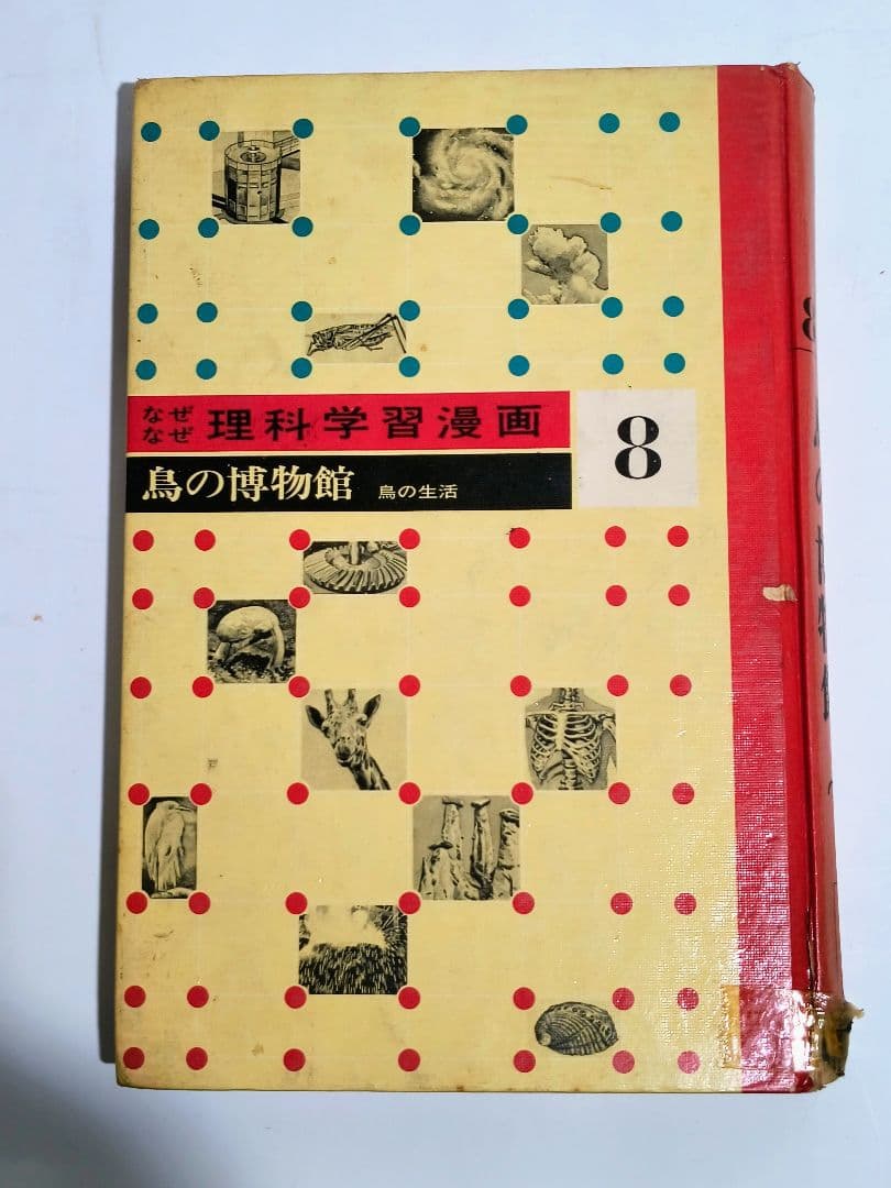 「なぜなぜ理科学習漫画」シリーズ　全12巻中11巻 (第4巻が欠落)