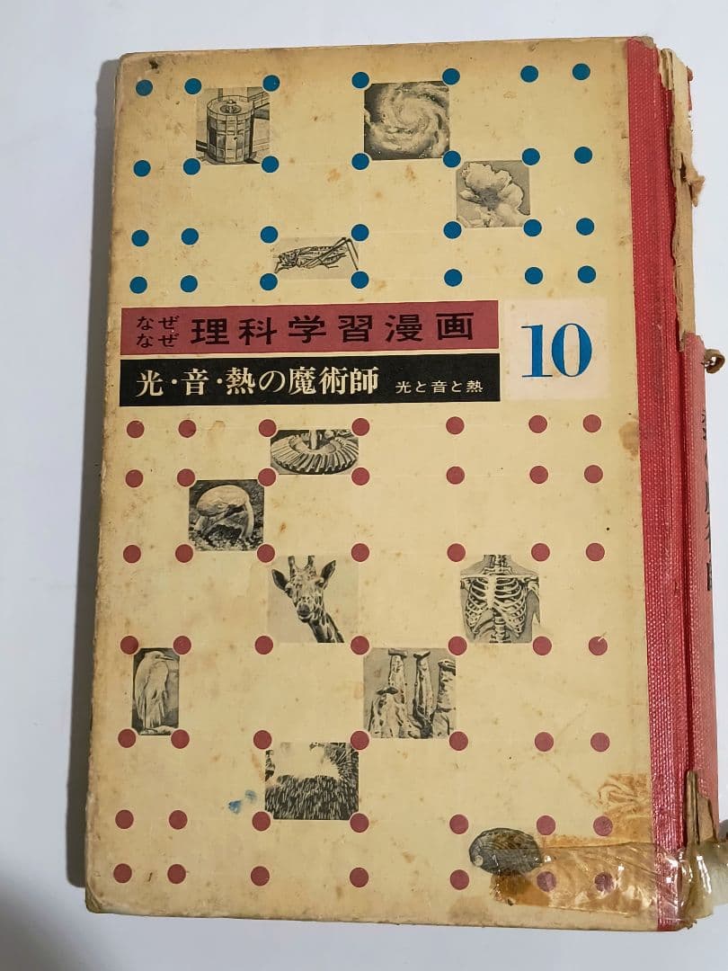 「なぜなぜ理科学習漫画」シリーズ　全12巻中11巻 (第4巻が欠落)