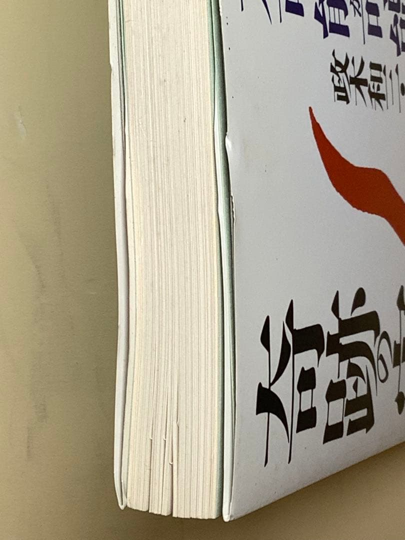 「奇跡の実現」欲望を捨てれば不可能が可能になる　政木和三著