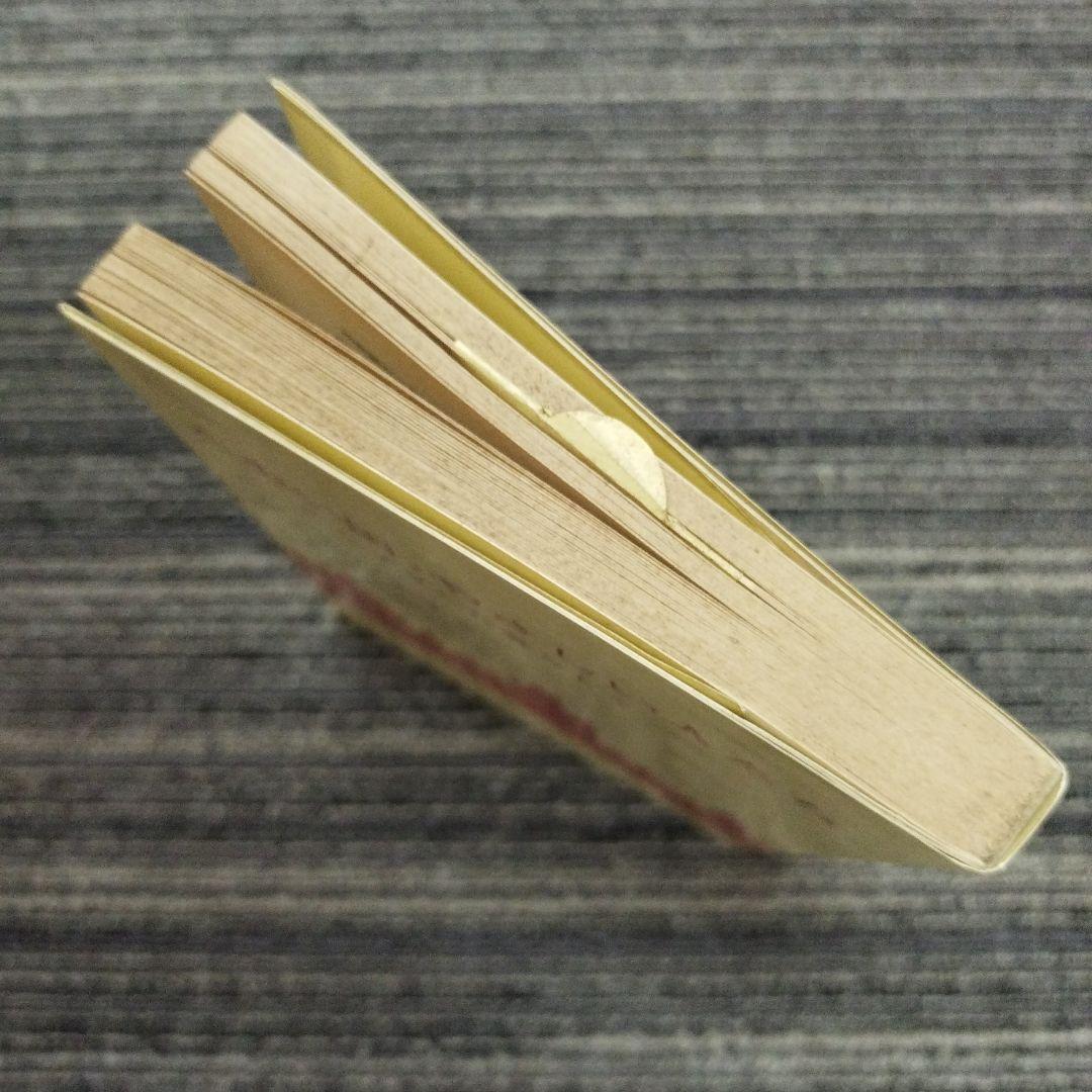 とおい国、やさしい人たち〜プラハに暮らして〜いしかわやすこ【初版本】