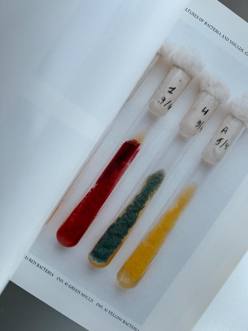 アート・デザイン・音楽 La Maison Martin Margiela : (9/4/1615)