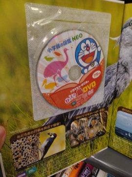 小学館の図鑑NEO DVD付　6冊セット　鳥・魚・きのこ・昆虫・動物・科学
