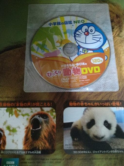 小学館の図鑑NEO DVD付　6冊セット　鳥・魚・きのこ・昆虫・動物・科学