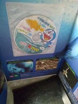 小学館の図鑑NEO DVD付　6冊セット　鳥・魚・きのこ・昆虫・動物・科学