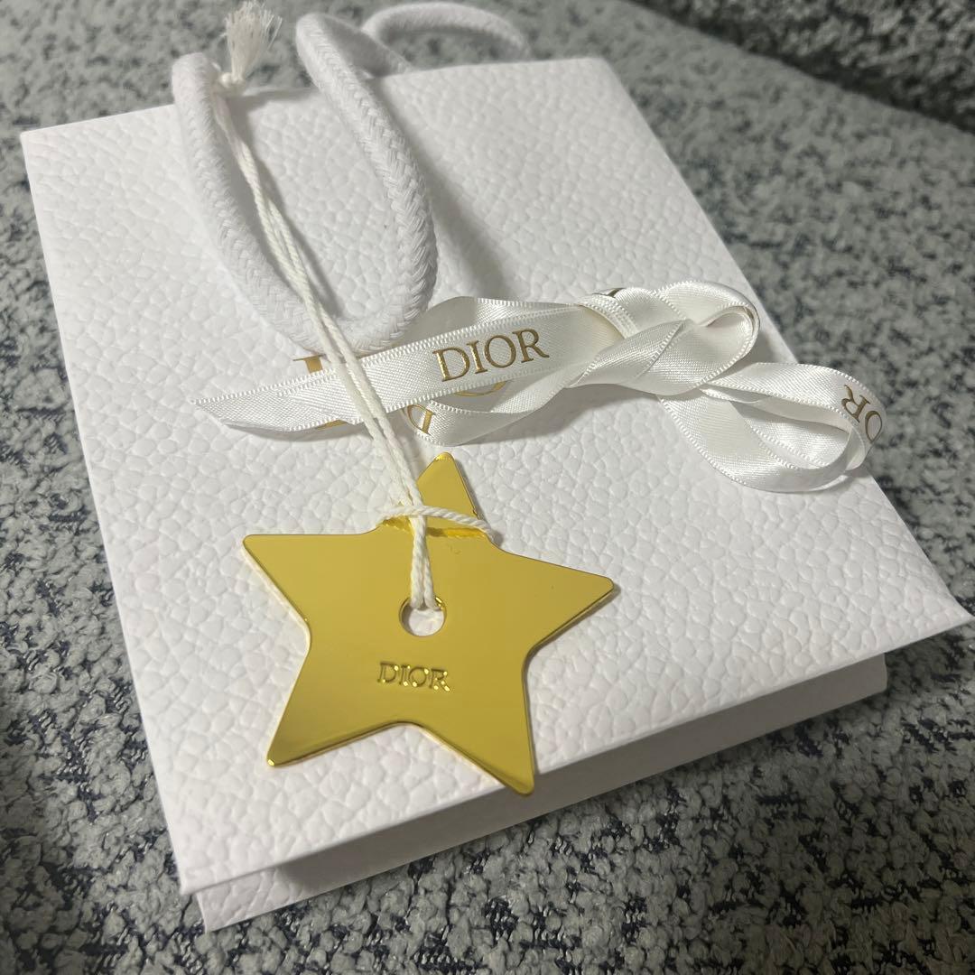 Dior ローズゴールド チェーンネックレス