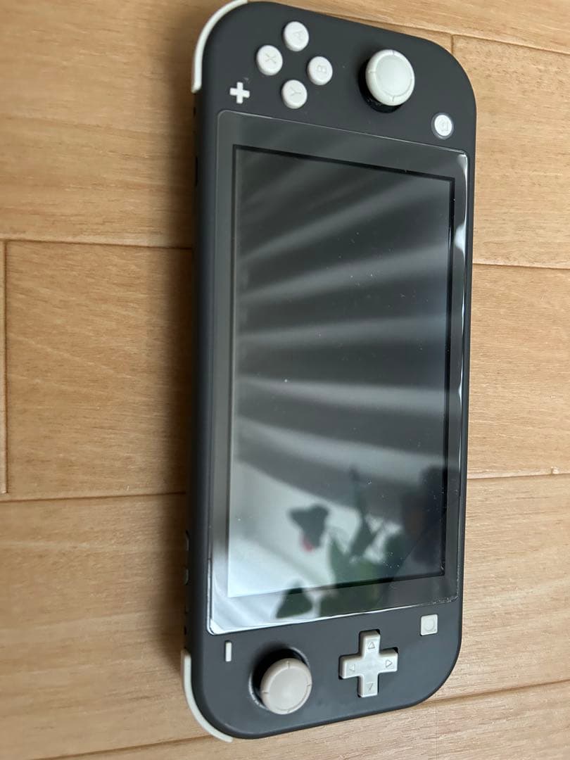 Nintendo Switch Lite 本体 + 128GB microSD