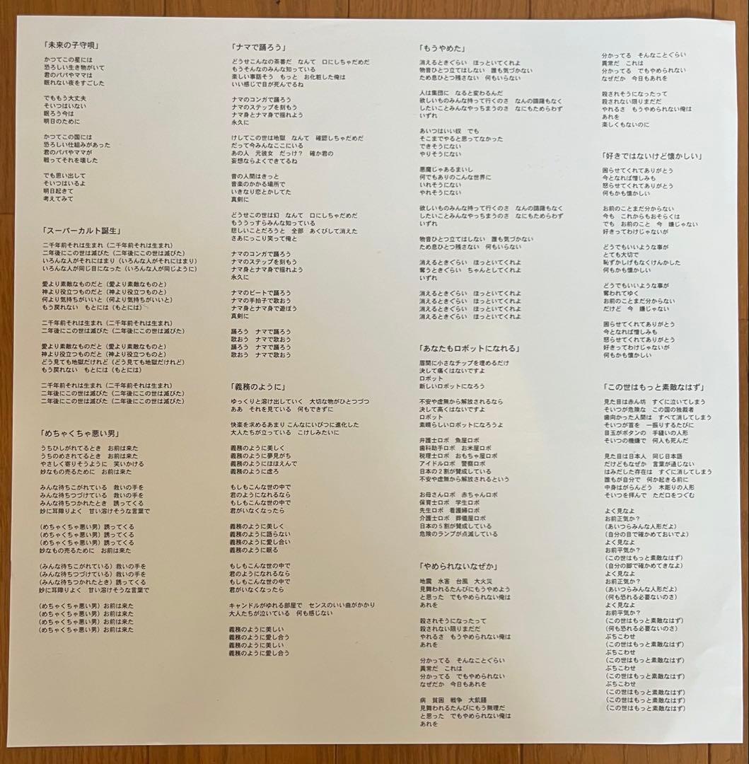 坂本慎太郎 / ナマで踊ろう LP日本盤 レコード