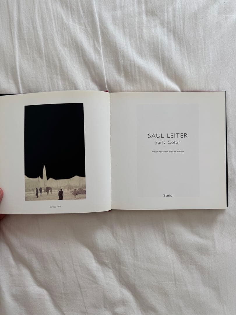 SAUL LEITER Early Color 英語版
