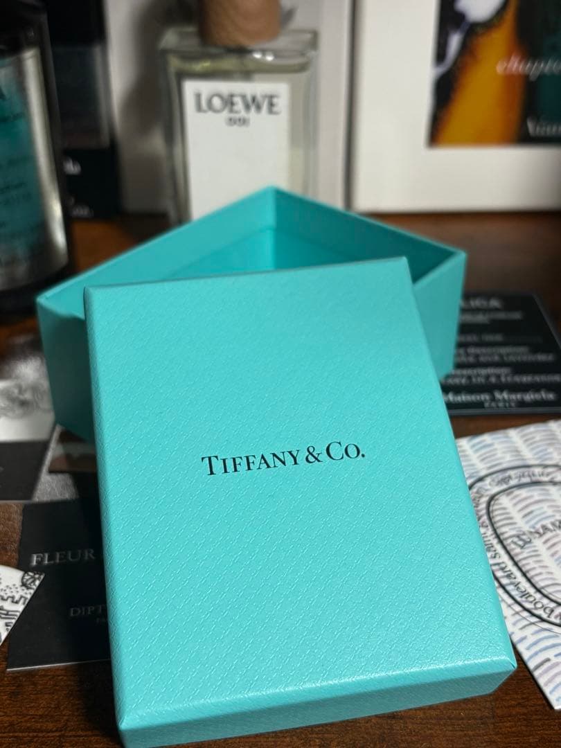 Tiffany & Co.AU750サークレット ダイヤモンド ネックレス