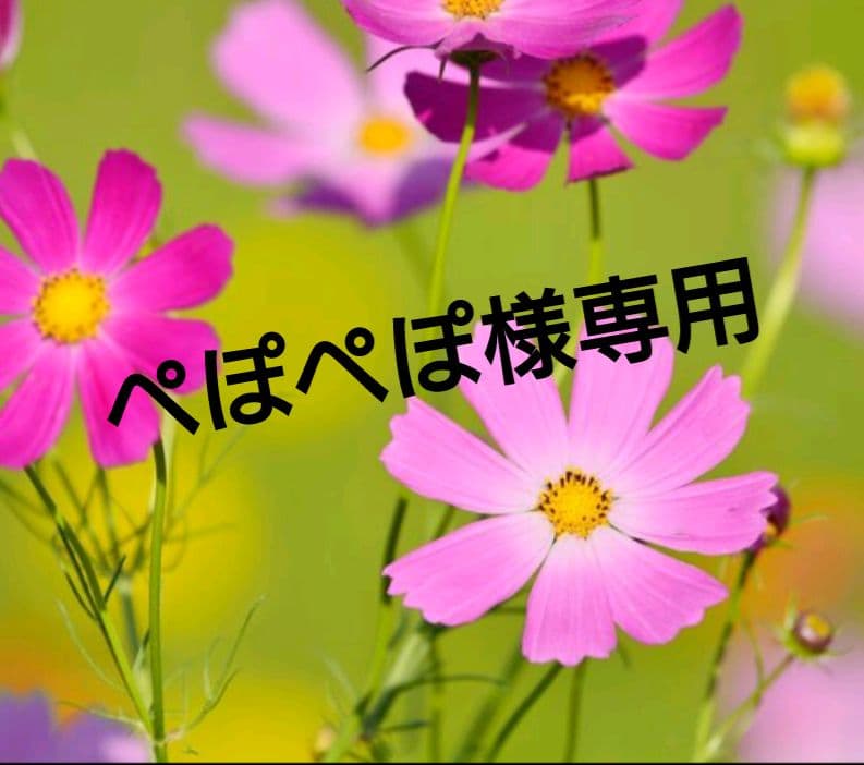 ④アライくんバド ブログ販売