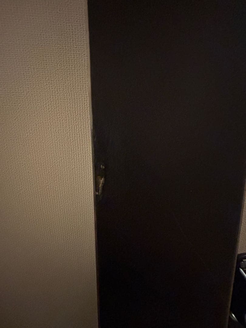 スキー K2 WAYBACK2010/2011 174cm