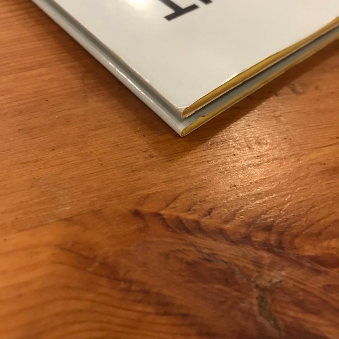 たのしい写真 2 ポートレイト市川実日子